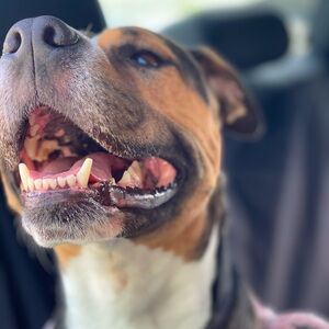 Meet your Posher, Mo